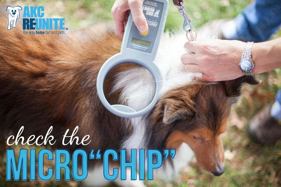 what is a microchip